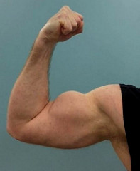 bicep.jpg